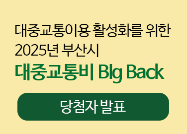 2025 λ ߱ Big Back ÷ ǥ ٷΰ